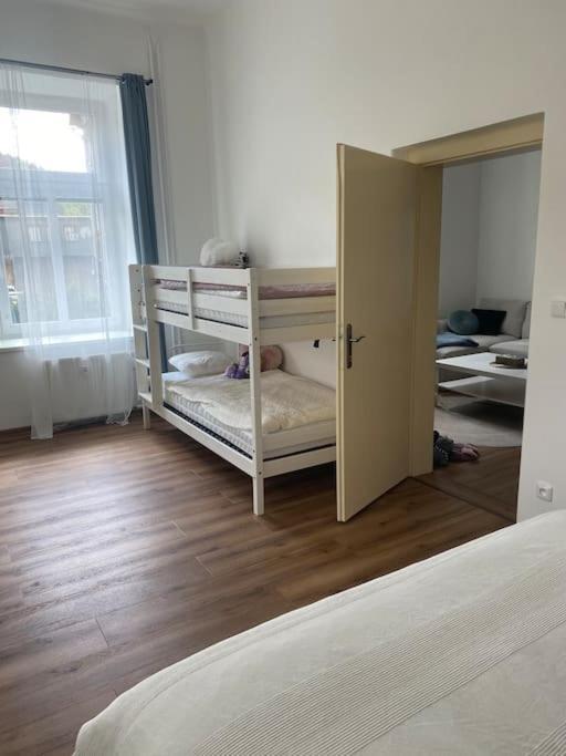 Horsky Apartman Desna - Jizerky Eksteriør billede