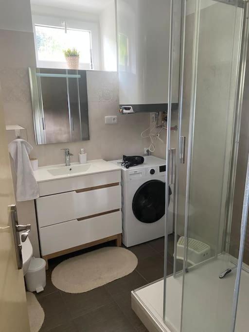 Horsky Apartman Desna - Jizerky Eksteriør billede